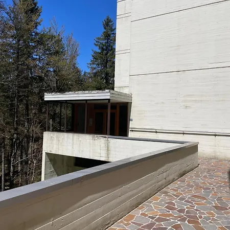 Forest Zofia Apartmán