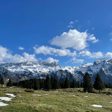 Forest Zofia Apartment Sella Nevea