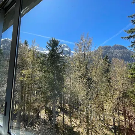 Apartment Forest Zofia